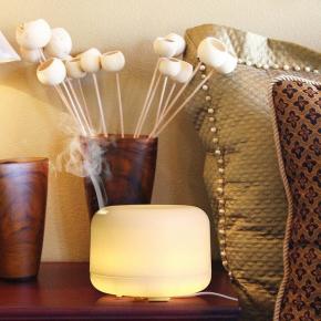 Aroma Diffuser Humidifier with Speaker