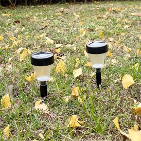 Solar Garden Pathway Light